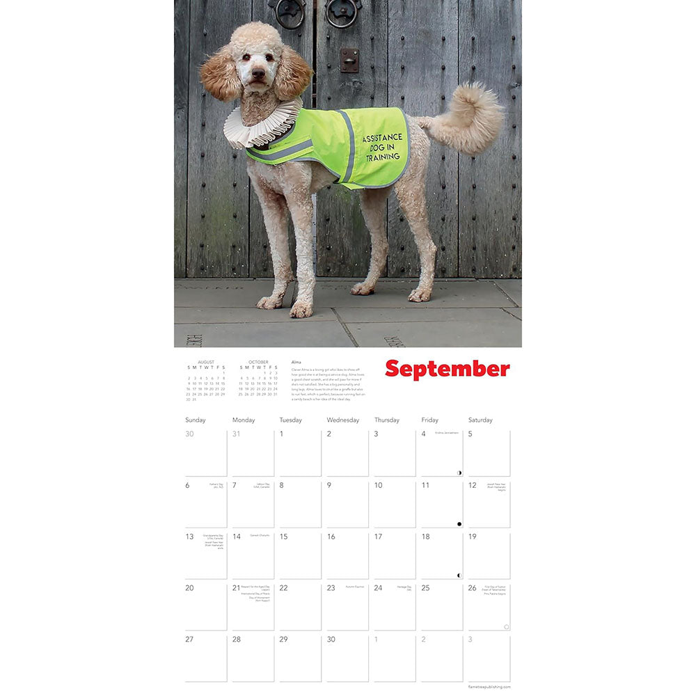 Open page of a calendar featuring a photograph of a dog wearing a ruff and a yellow jacket