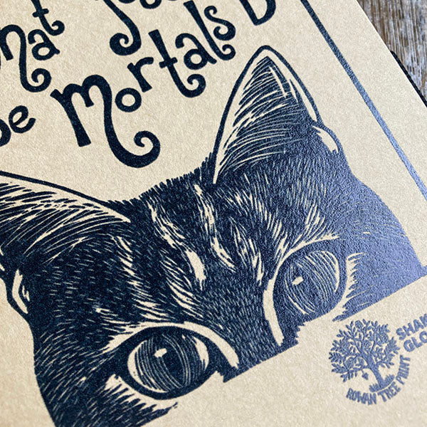 Black ink illustration of a cat's face on beige paper with text.