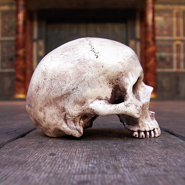 Life-sized and very realistic plaster skull in off-white colour with brown shading