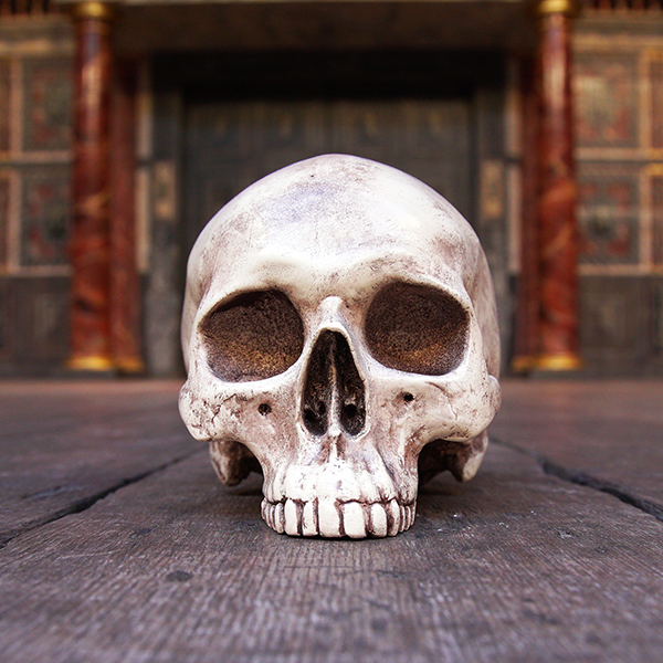 Life-sized and very realistic plaster skull in off-white colour with brown shading