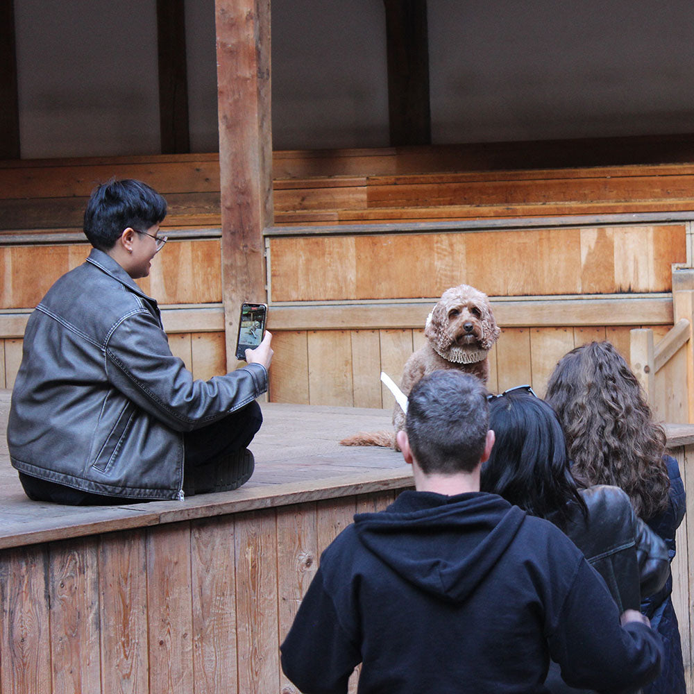 Behind the Scenes: The Making of Dogs in Ruffs 2