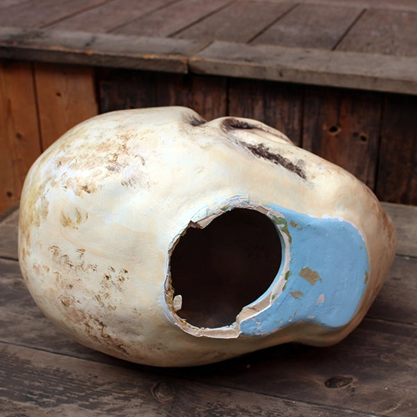 
                  
                    Donation Box Skull
                  
                