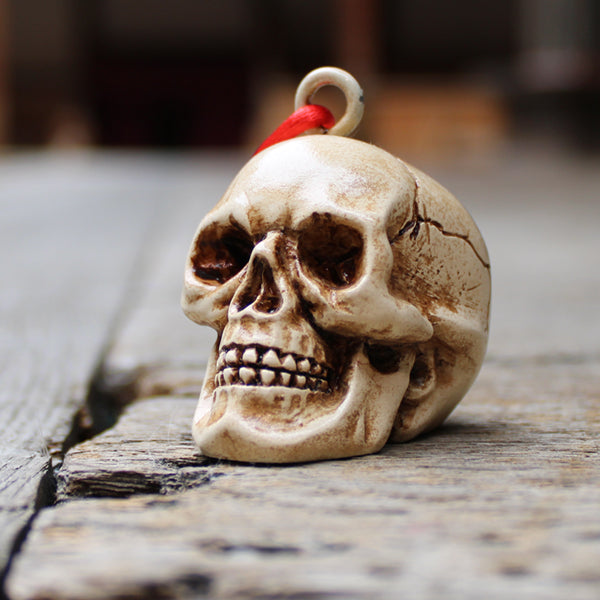 
                      
                        Plaster skull decoration with rope tie, on wooden floor
                      
                    