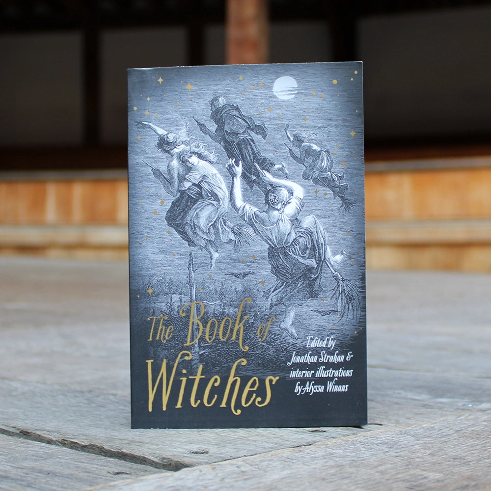 
                  
                    Black paperback book with gold and white text, with witches on broomstick
                  
                