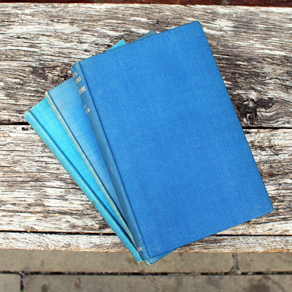 Three blue books stacked on a wooden surface