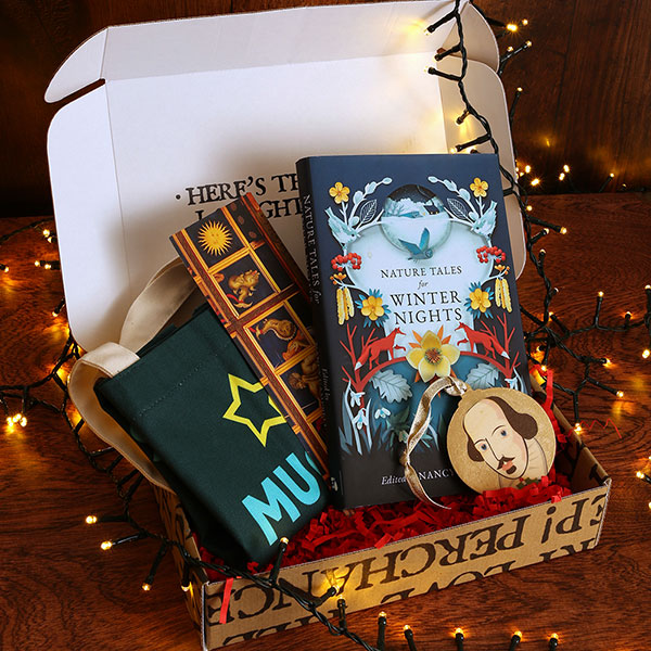 Box with a book, a bag, a bookmark, and a decoration on a wooden surface with string lights.