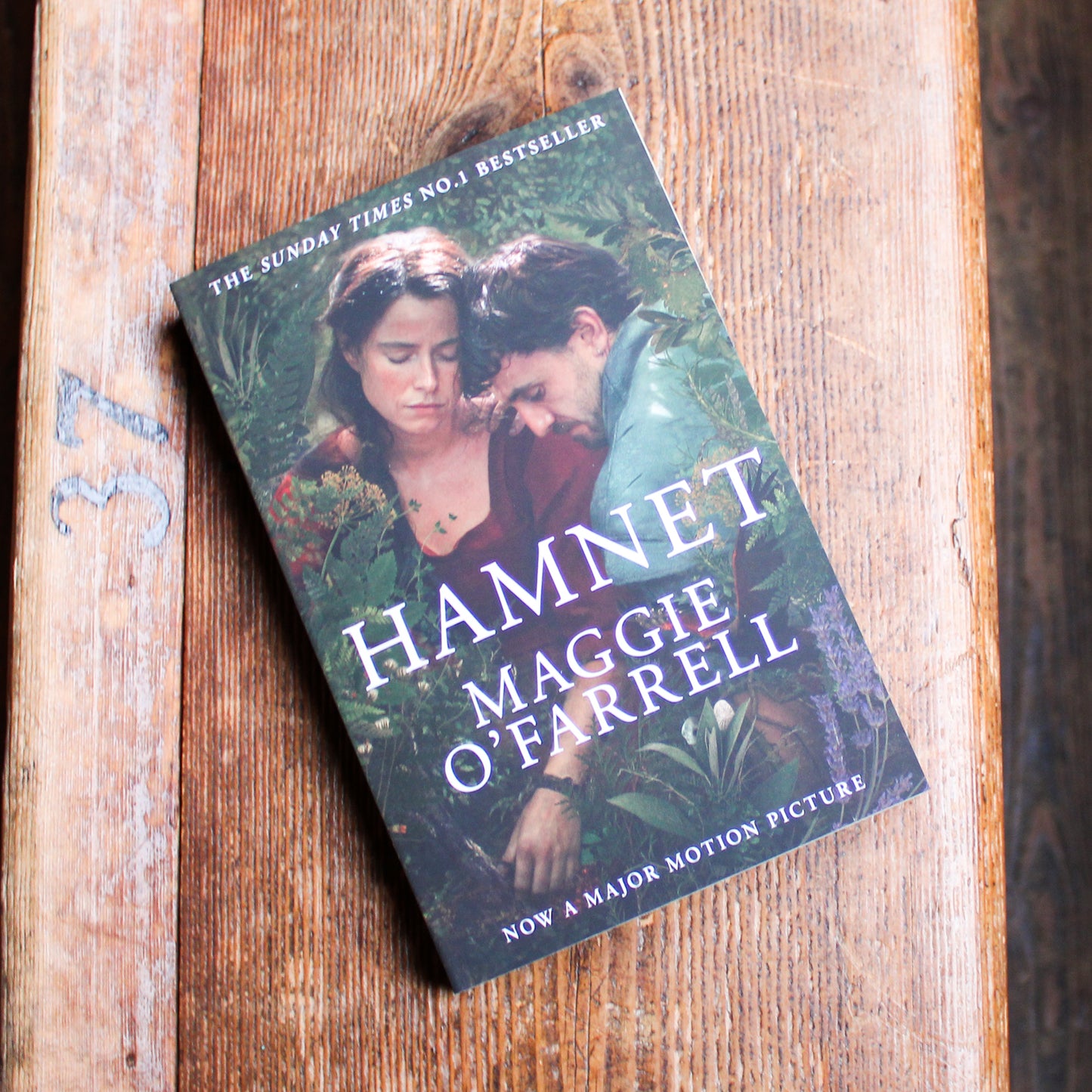 Book titled 'Hamnet' by Maggie O'Farrell on a wooden surface