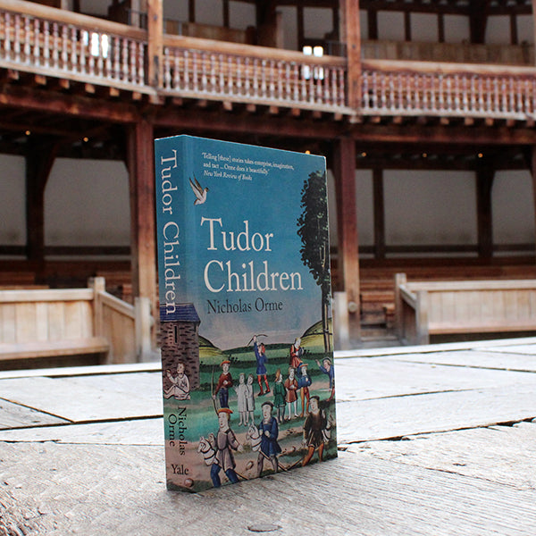 Pale blue paperback book with playing Tudor children in a pastoral scene and white text