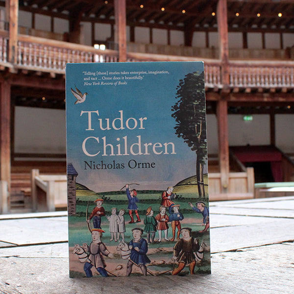 Pale blue paperback book with playing Tudor children in a pastoral scene and white text