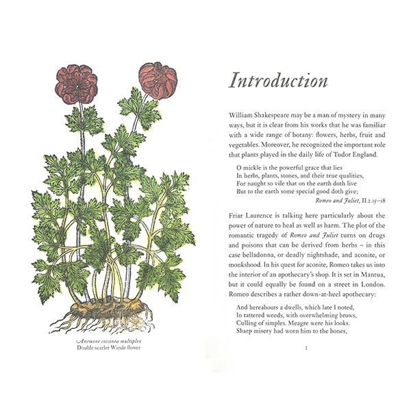 
                  
                    A Shakespearean Botanical by Margaret Willes
                  
                