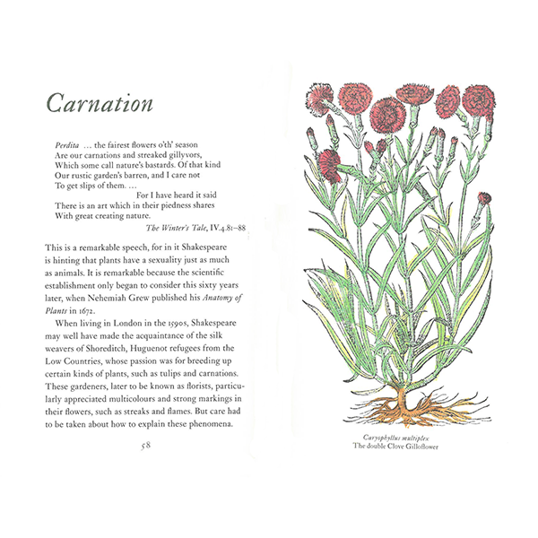 
                  
                    A Shakespearean Botanical by Margaret Willes
                  
                
