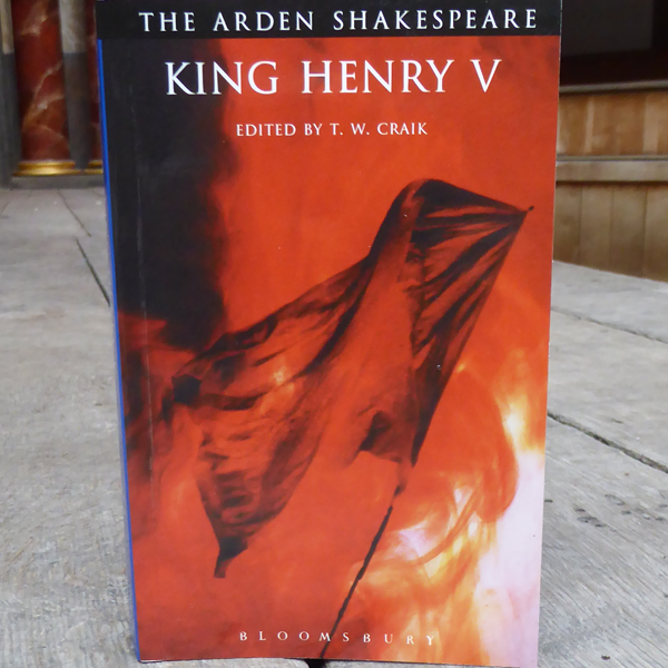 Orange washed out background with grey flag flying across the cover of paperback