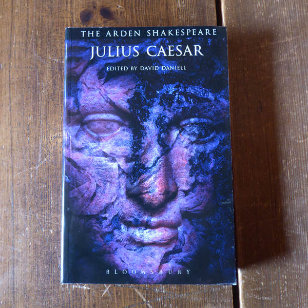 Blue stylised image of a persons face across the entire front cover of paperback
