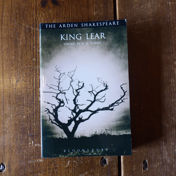 Black and white image of spindly tree with no leaves sitting in grassy field across the cover of paperback book 