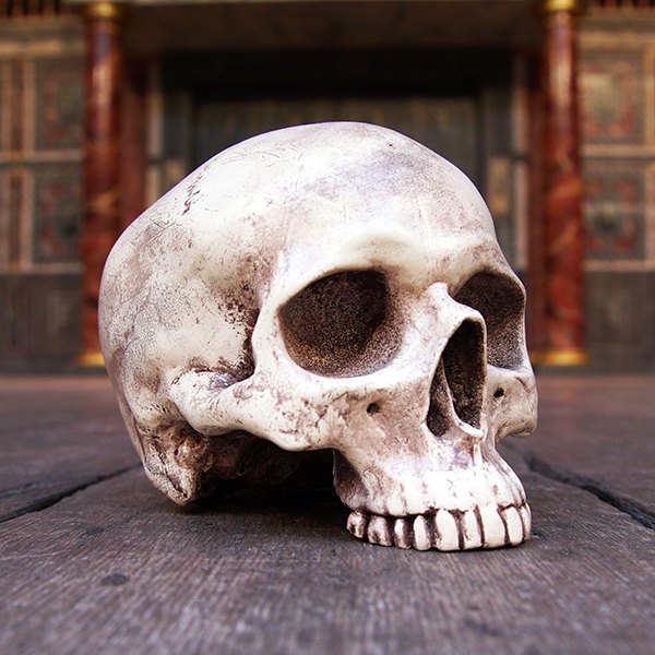 Life-sized and very realistic plaster skull in off-white colour with brown shading